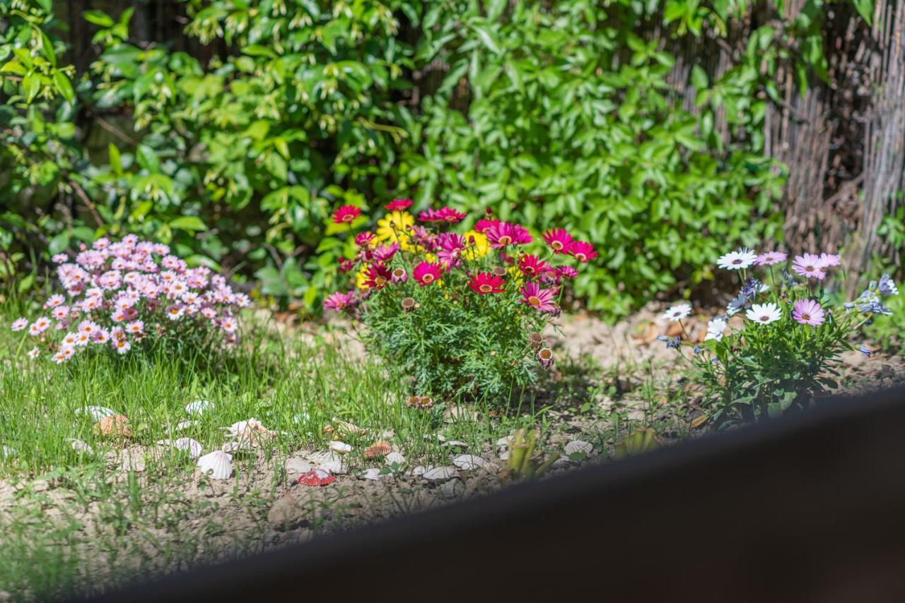 Holiday home Popi On The Of Agios Gordios *